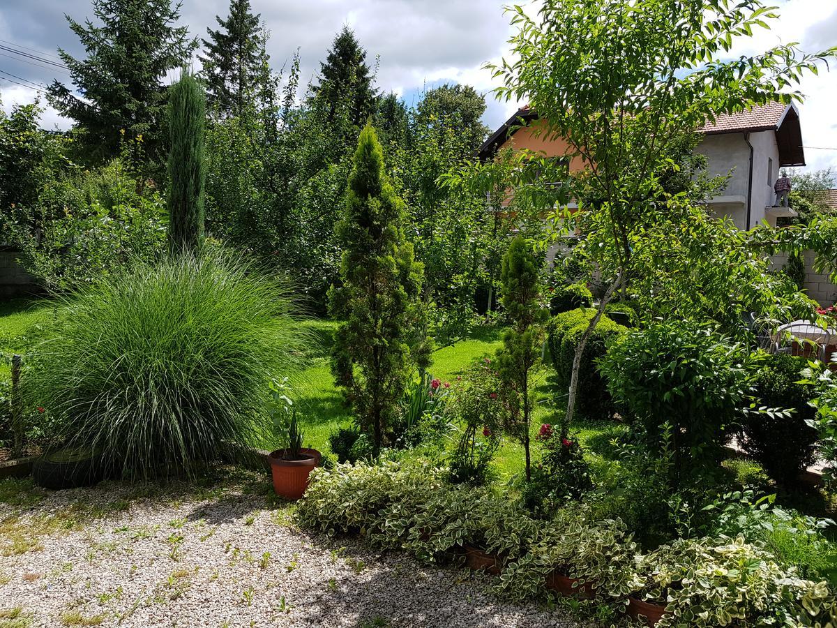 Apartment Paradise Enver Dubrave Gornje Dış mekan fotoğraf