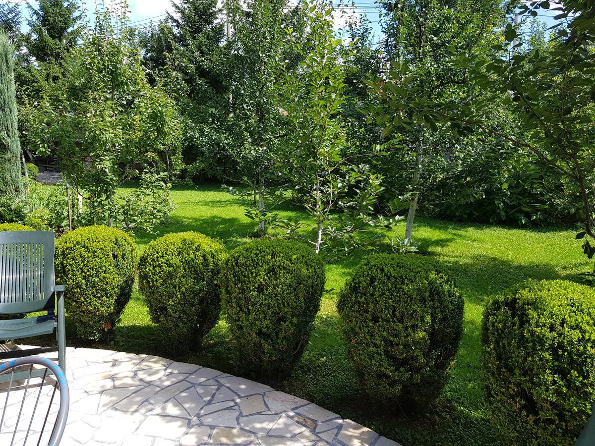 Apartment Paradise Enver Dubrave Gornje Dış mekan fotoğraf