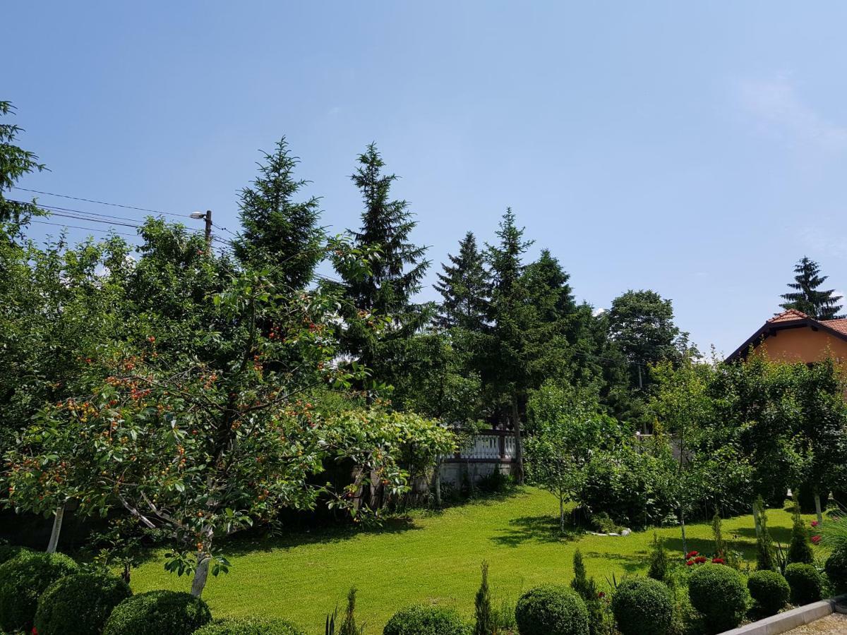 Apartment Paradise Enver Dubrave Gornje Dış mekan fotoğraf