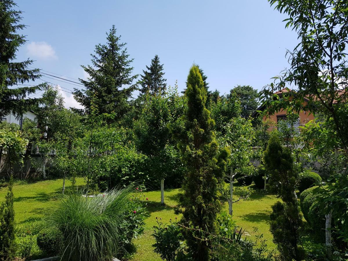 Apartment Paradise Enver Dubrave Gornje Dış mekan fotoğraf